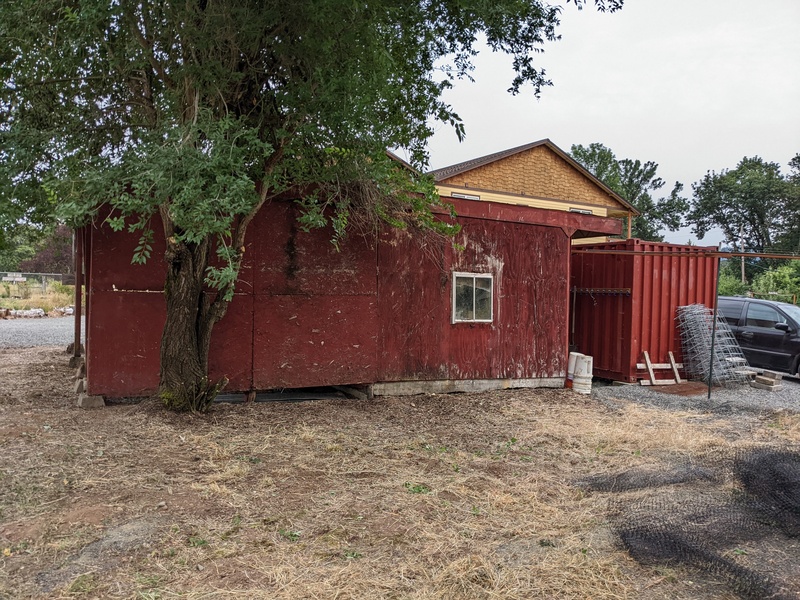 So the back of the red shed looks wonderful now.