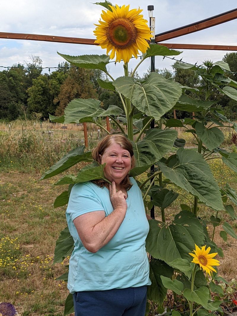 You are my Sunflower, my only Sunflower. You make me happy when skies are gray.