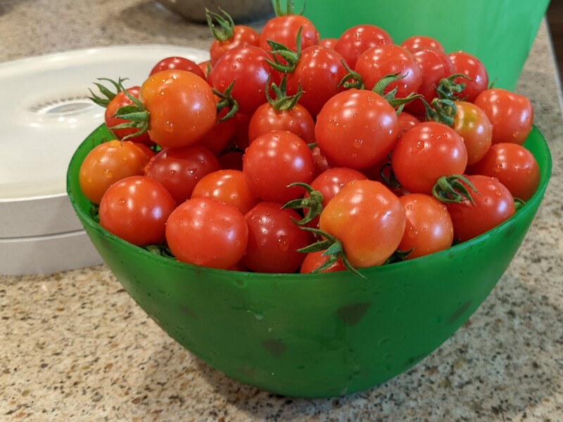 Red cherry tomatoes from the garden.