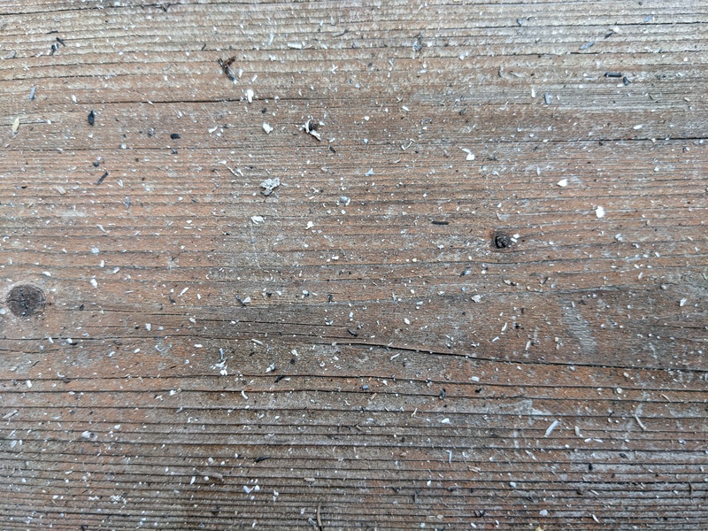 Ash stuff on porch.