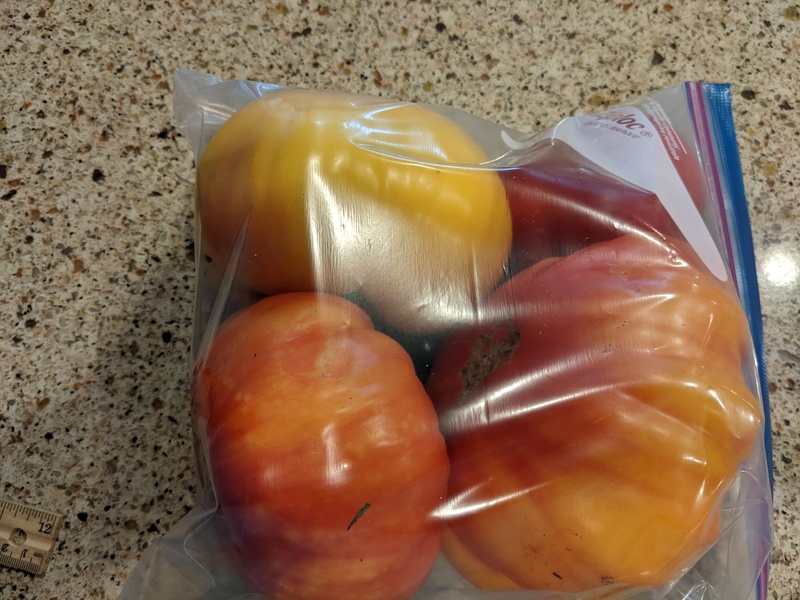 Freezing tomatoes