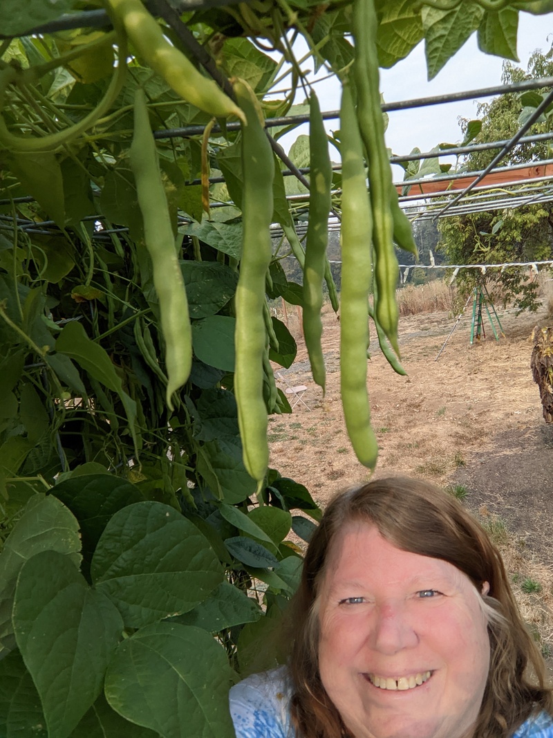 Lois standing on concrete blocks to reach the beans.