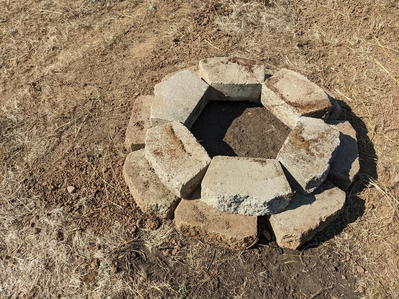 The New gingko tree cell that Joseph made. We have tried to get gingkos to grow since 2012.