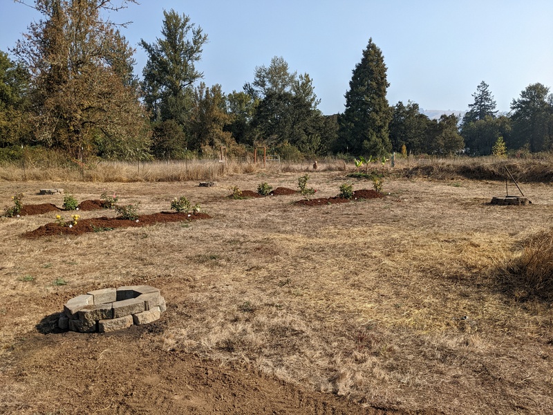 Joseph made four gingko cells. Eventually they will get fencing around them so that the deer and beavers won't eat them.