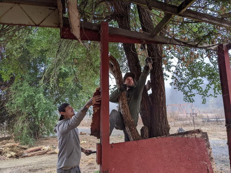 Trapezoid: removing rotted wood from the red shed.