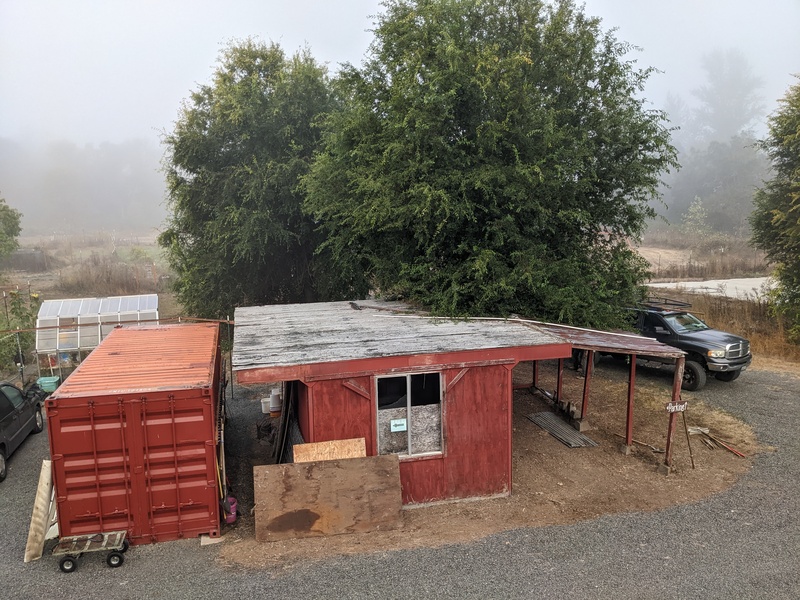 Trapezoid: looking across the red shed at the trees that are going away.