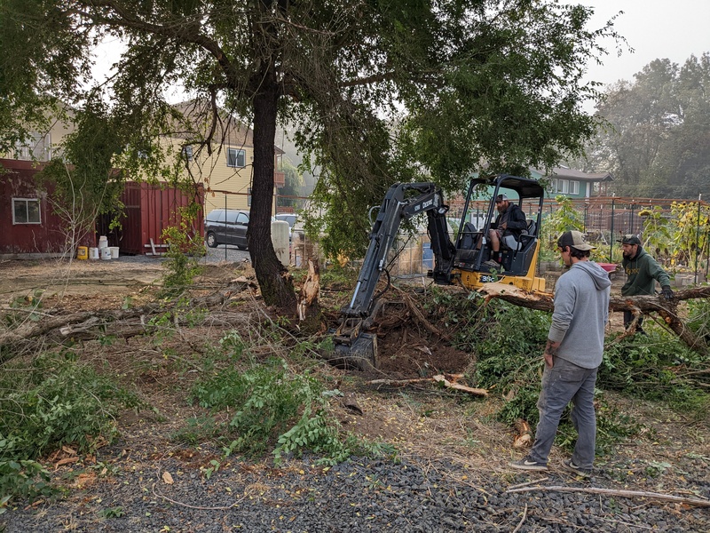 Trapezoid: Taking down the well house tree.