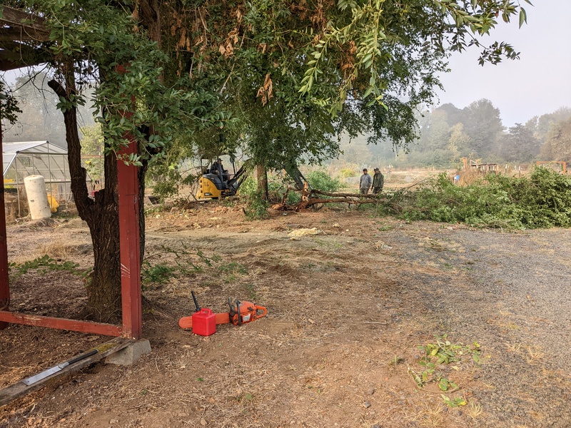 Trapezoid: looking west through the corner of the red shed.