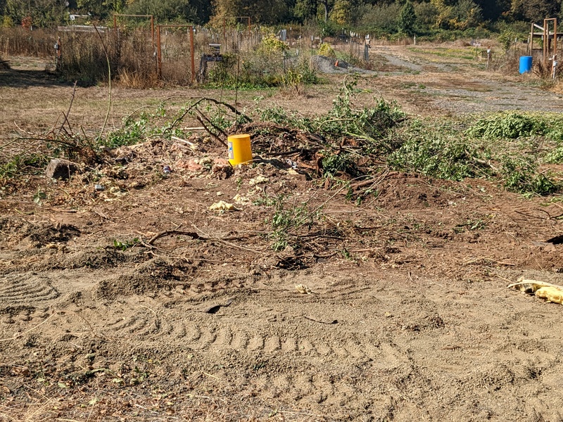 Trapezoid: Yellow bucket is over the well, 37ft from the red shed.