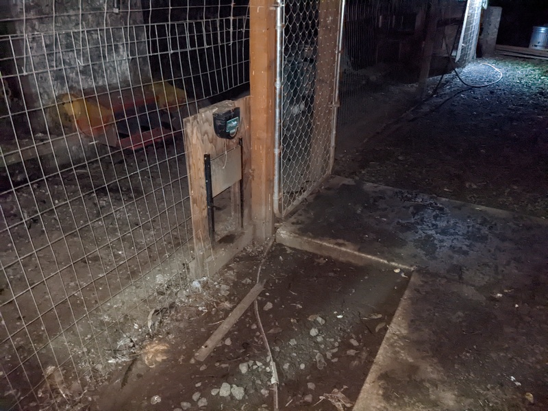 The battery died in there automatic door opener, so the door didn't shut. A raccoon help it's self to the chickens.