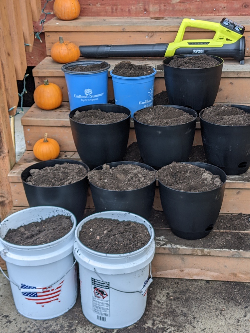 Pots are ready for bulbs and labeling.