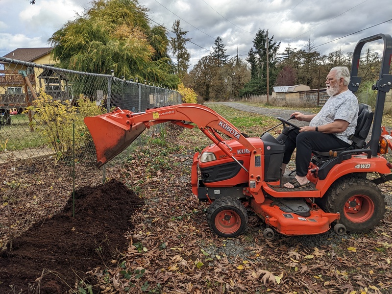 Don covering daffodils.