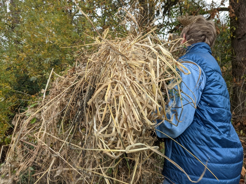 Laura is unloading weeds.