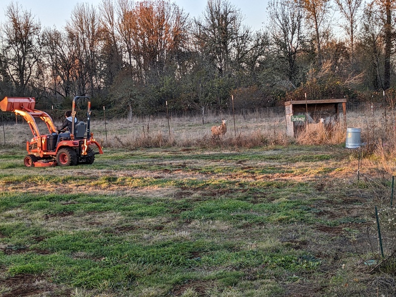 Alex mowing.