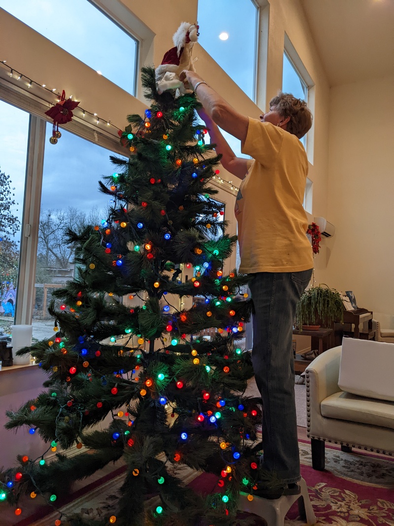 Laura putting the angel on top of the tree.