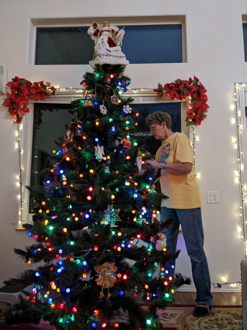 Laura putting ornaments onto the the tree.