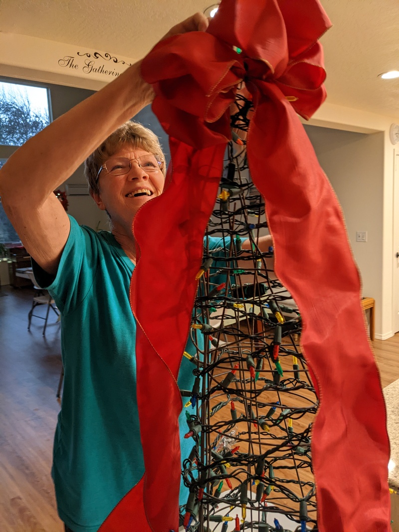 Laura built a Christmas tree out of tomato cages.