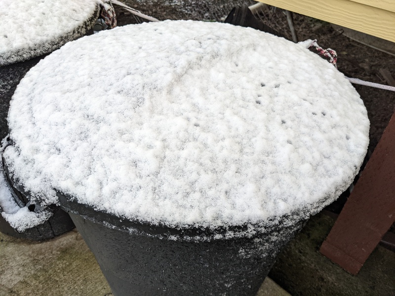 Snow on the garage can.