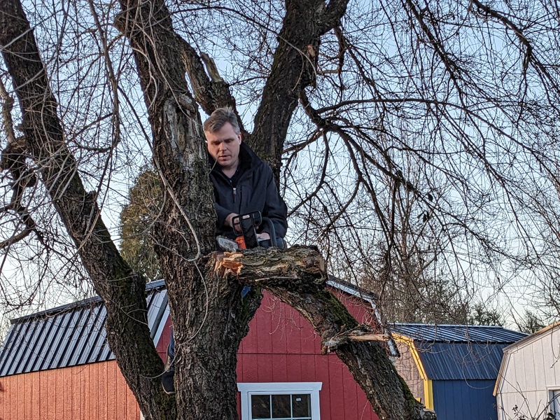 Joseph cuts down a large, unwanted branch.