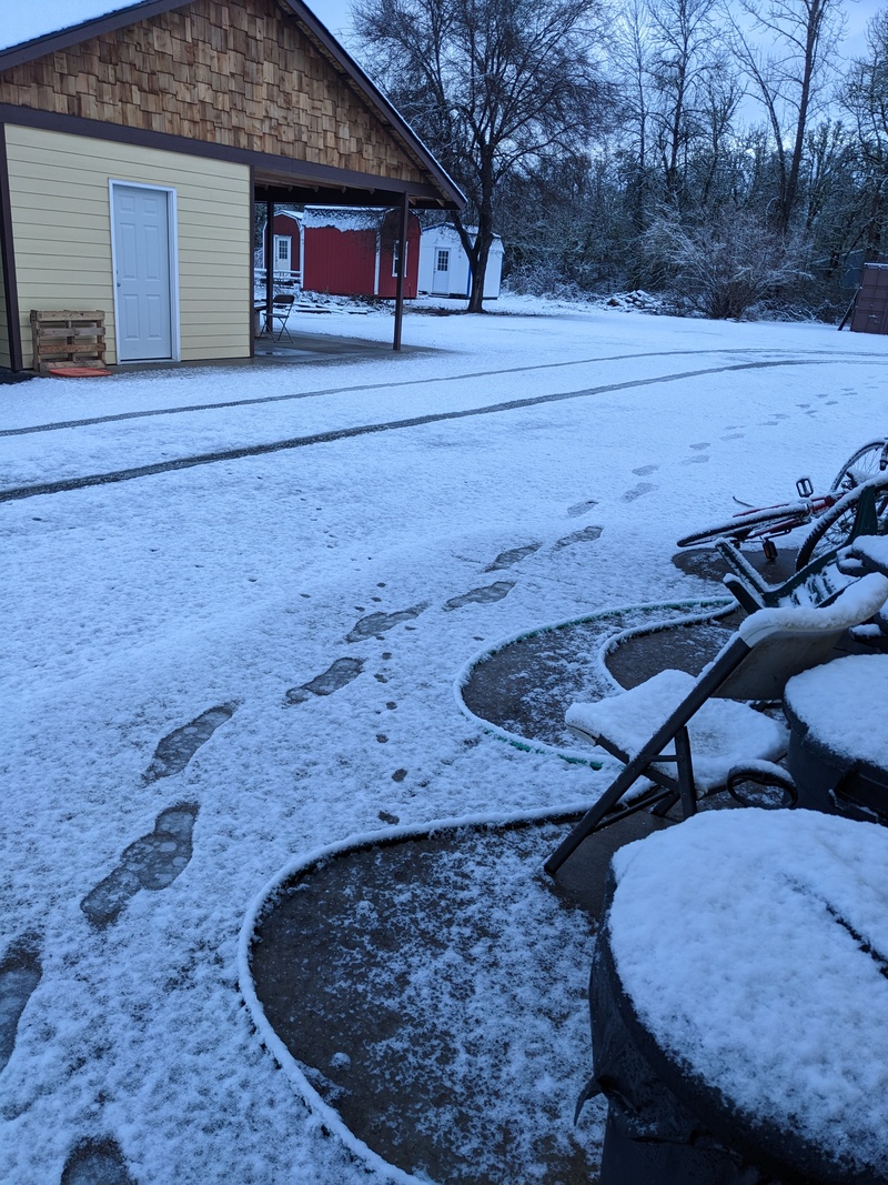 We woke up to very pretty snow Tuesday. I could tell who had done something by the tracks.