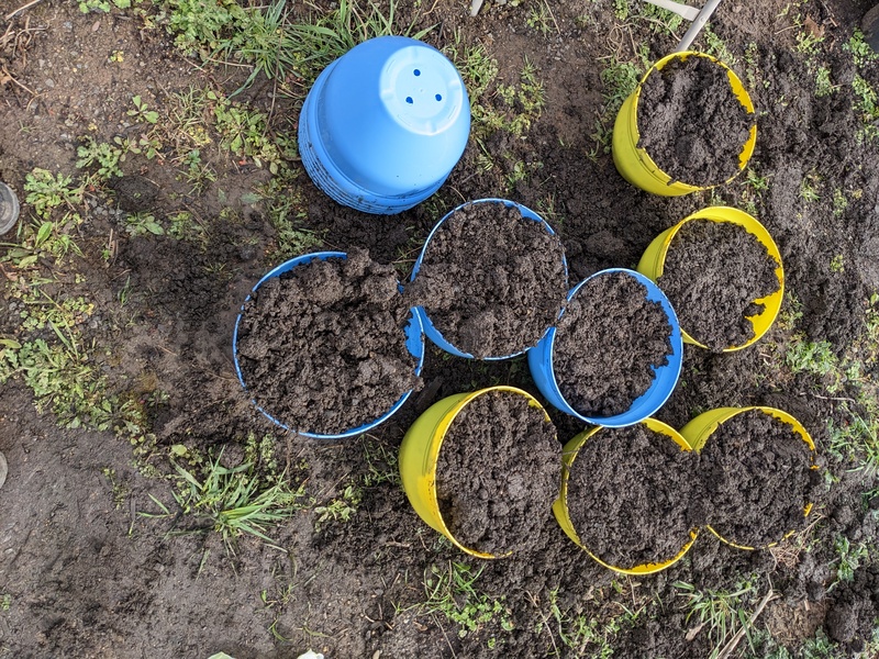 More pots for starting seeds.