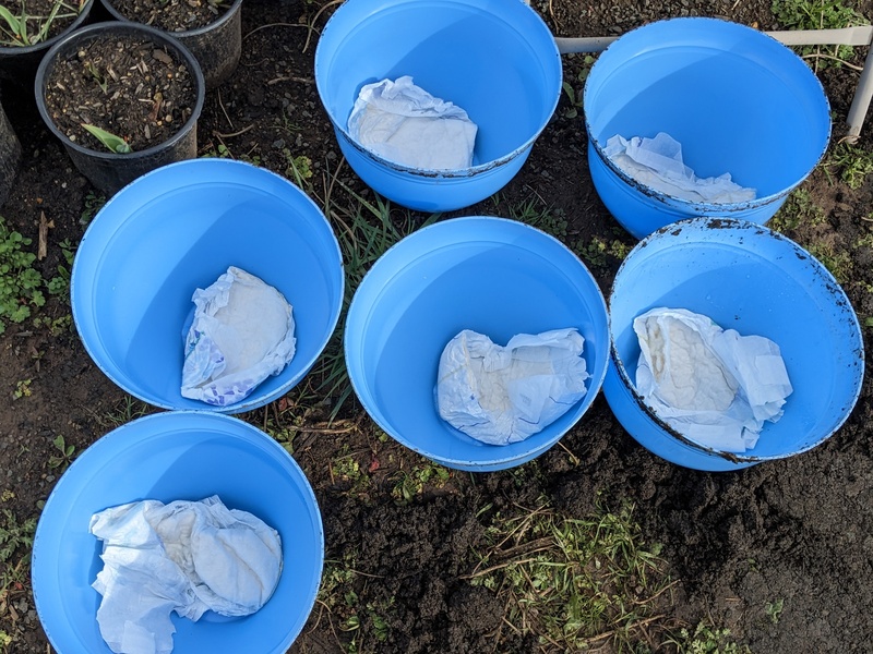 Lois poor diapers in the bottom to hold moisture.