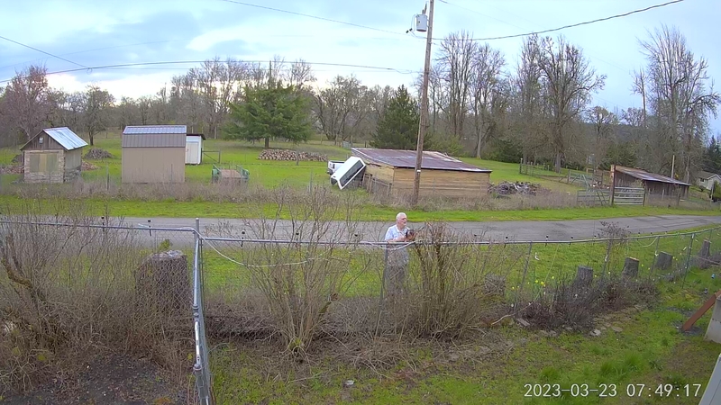 Don trims the lilacs.