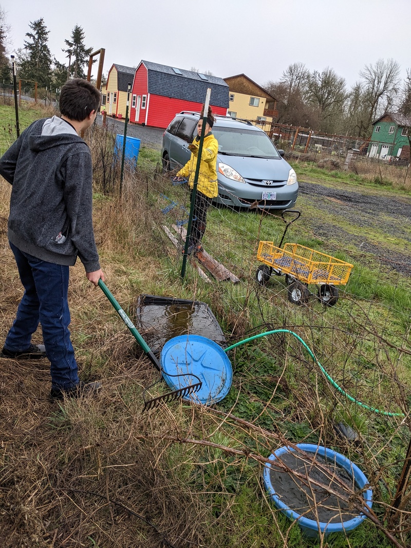 Alex is cleaning up the sheep shed area