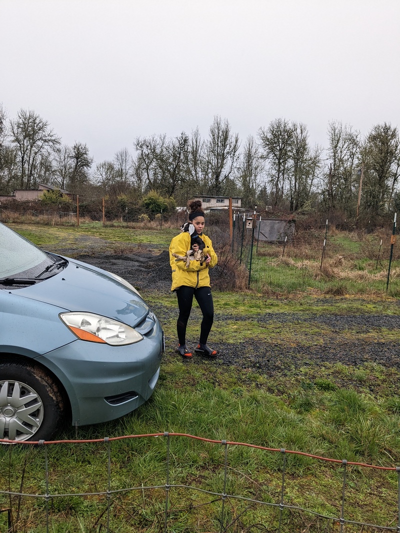 Nerea bringing goats to new home.