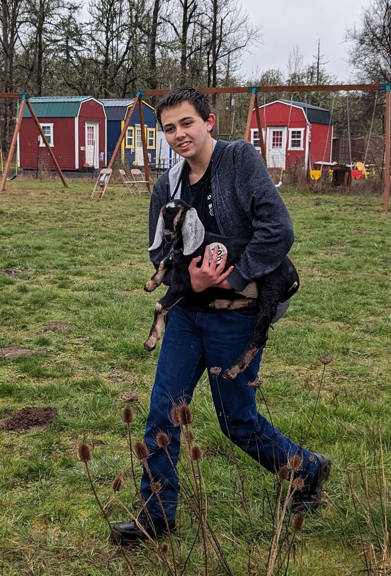 Alex bringing goats to new home.