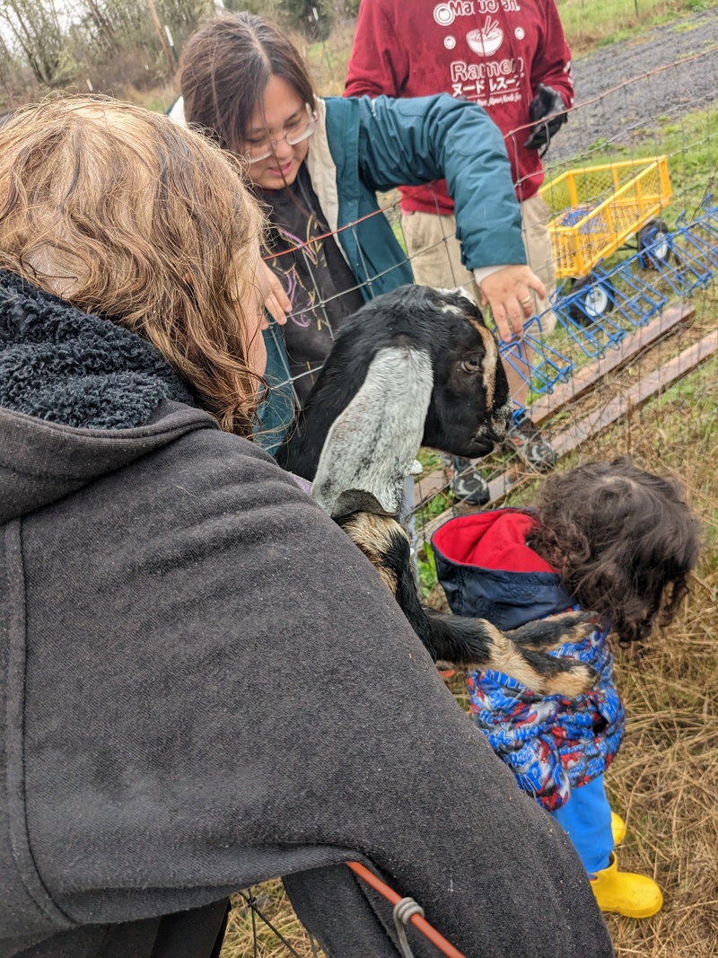 Lois bringing goats to new home.