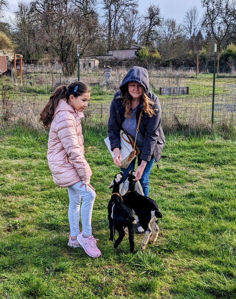 Camille playing with the goats.