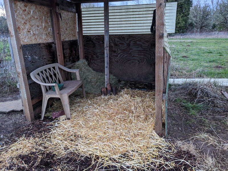 The kids have straw and hay.