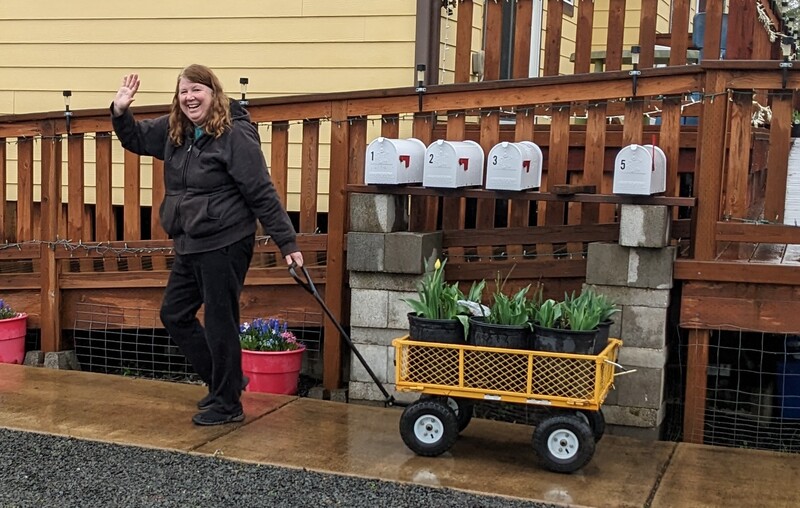 Lois moved pots that she had started last fall.