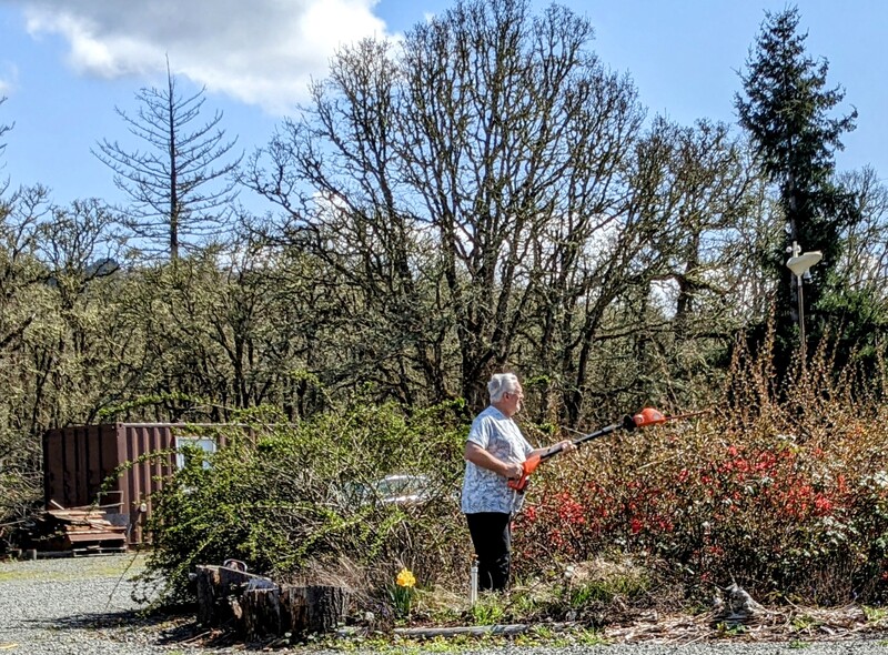 Don pruning bushes.