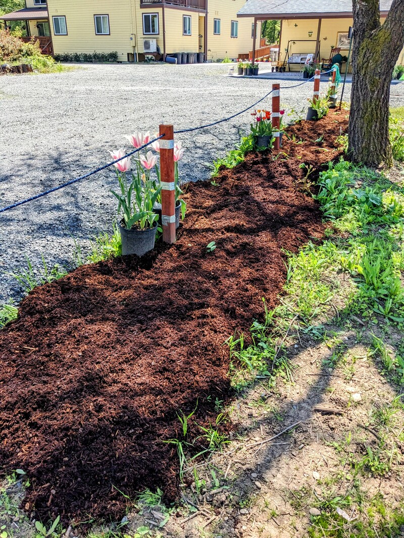 Don put bark in preparation for me flower beds.