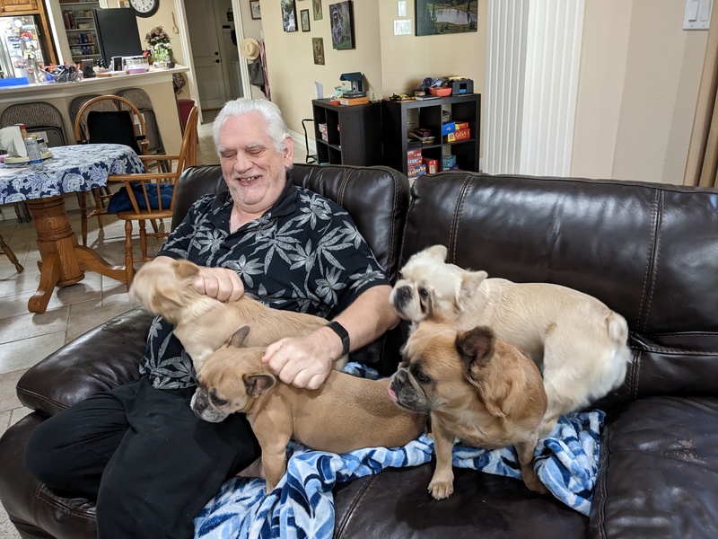 Don is overwhelmed by Matt's dogs.