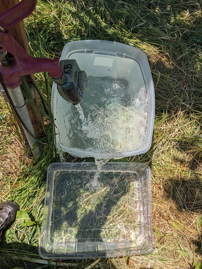 Goat water. Fancy two layer fountain. 🤣