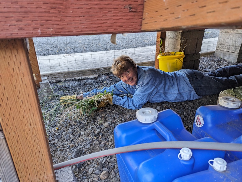 Laura weeding under the ramp.