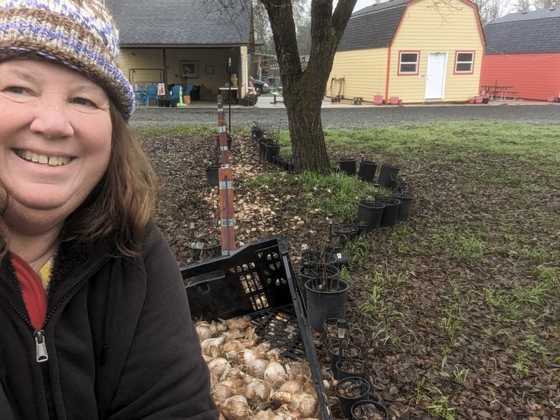 She did several bins of bulbs there.