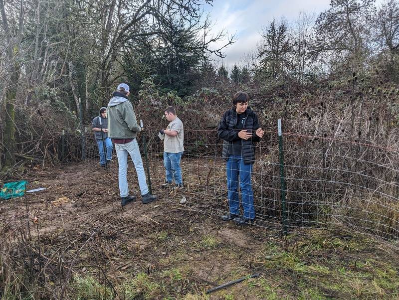 Timmy, missionaries, and Alex work on the fence.