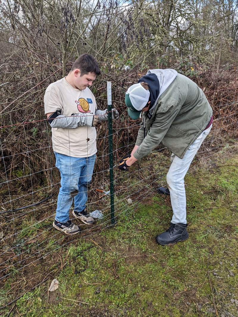Elder Kunz and Elder Nielson work on clipping the fence to the t-posts.