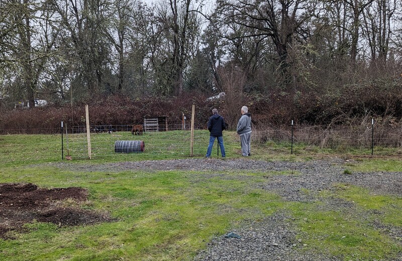 Joseph and Don watch the goats.