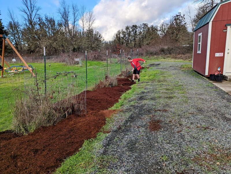 Caleb working on leveling the bark.