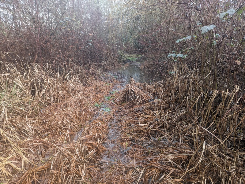 The Glen is filling up with water.