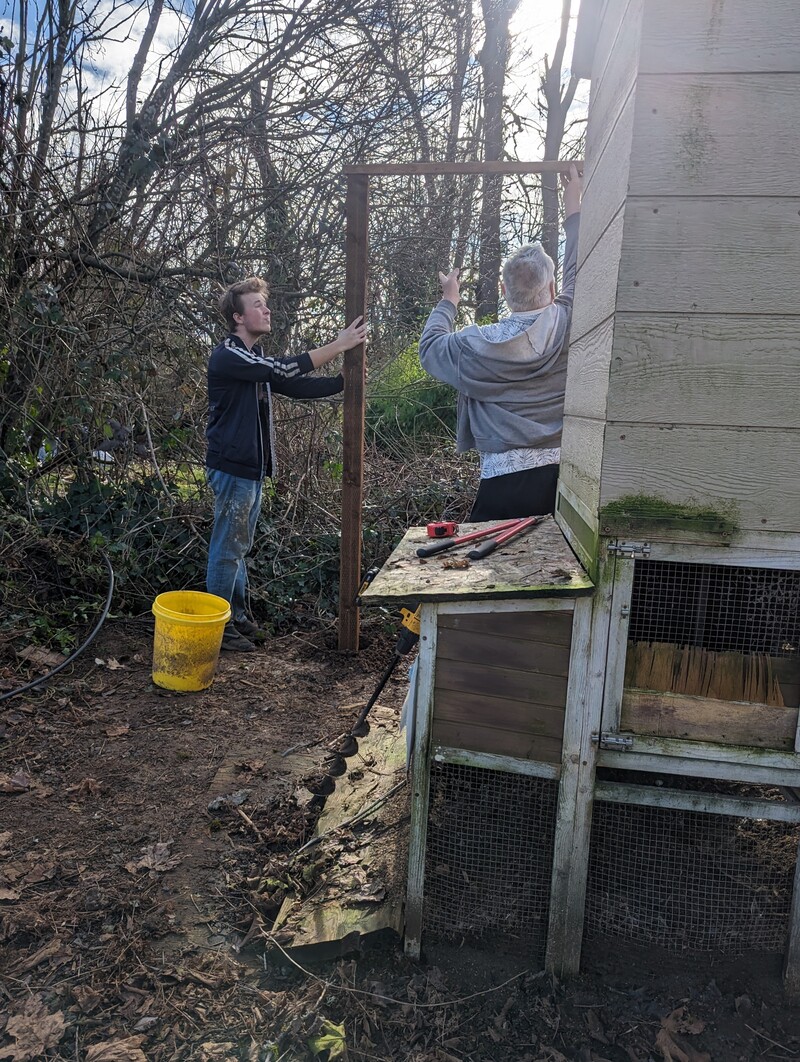Chicken Coop Expansion. Is the top level?