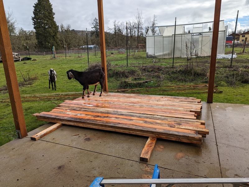 Lumber for the Smithy, complete with goats.