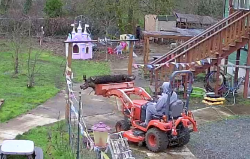 Don is removing a tree branch backwards.