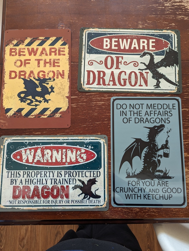Larissa printed some Dragon signs for us.