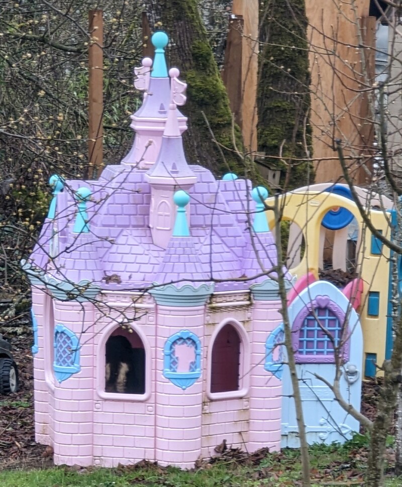 Goats hiding out in the Princess Castle.
